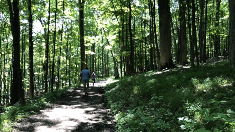 Sleeping Lion Hiking Trail - Cooperstown, NY