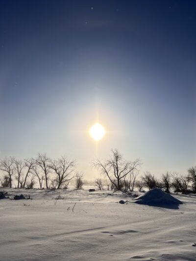 Cooperstown City Park - Cooperstown, ND