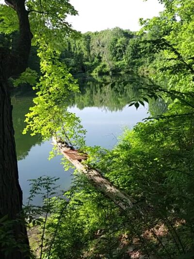 Taconic State Park - Copake Falls Area - Copake Falls, NY