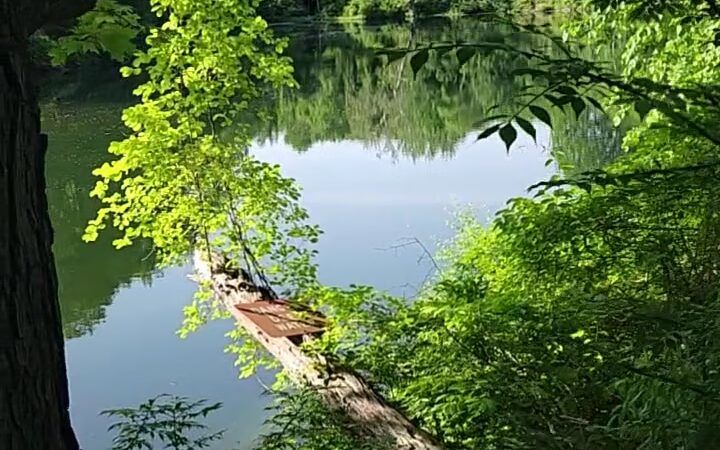 Taconic State Park - Copake Falls Area - Copake Falls, NY