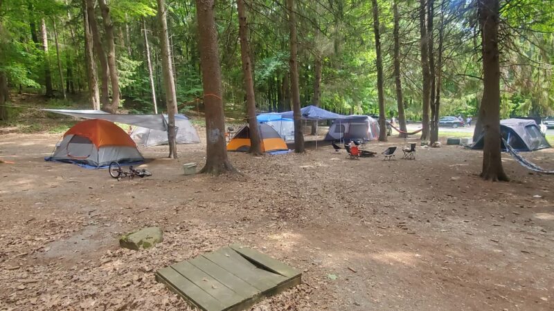 Taconic State Park - Copake Falls Area - Copake Falls, NY