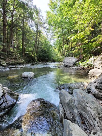 Taconic State Park - Copake Falls Area - Copake Falls, NY