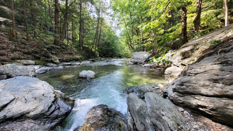 Taconic State Park - Copake Falls Area - Copake Falls, NY