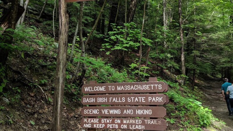 Taconic State Park - Copake Falls Area - Copake Falls, NY
