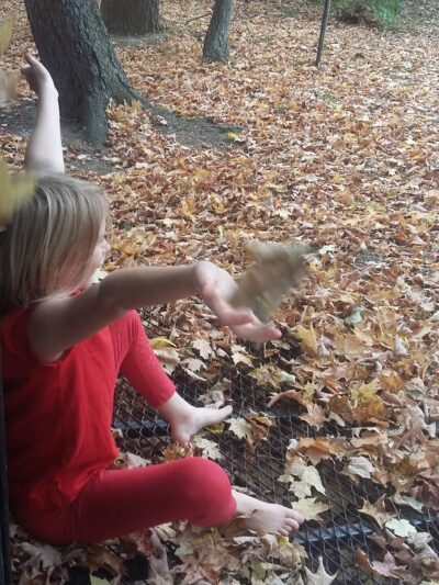 Copake Community Park - Copake, NY