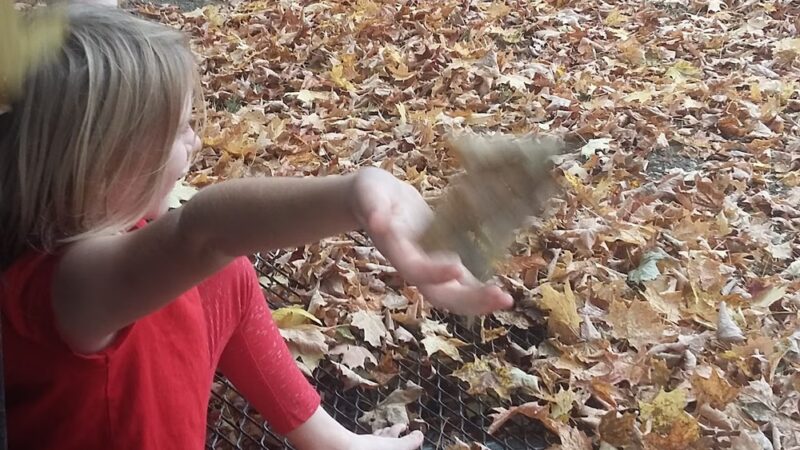 Copake Community Park - Copake, NY