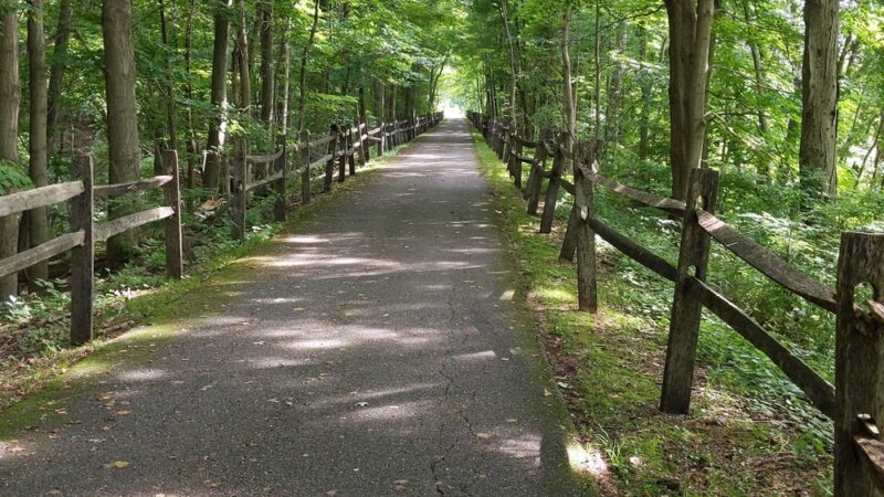 Harlem Valley Rail Trail - Copake, NY