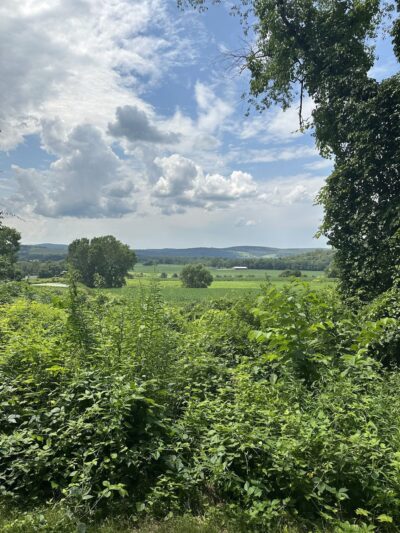 Harlem Valley Rail Trail - Copake, NY
