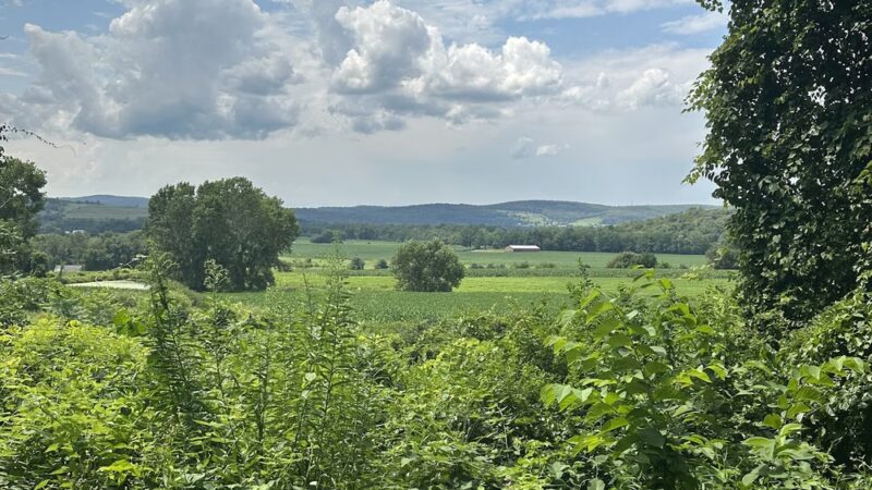 Harlem Valley Rail Trail - Copake, NY