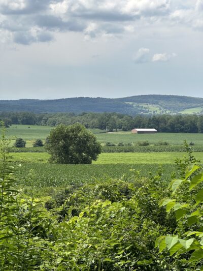 Harlem Valley Rail Trail - Copake, NY