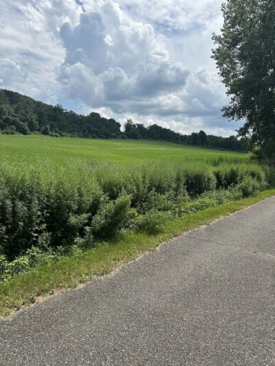 Harlem Valley Rail Trail - Copake, NY