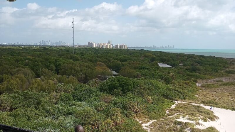 Ferdinand Park - Coral Gables, FL