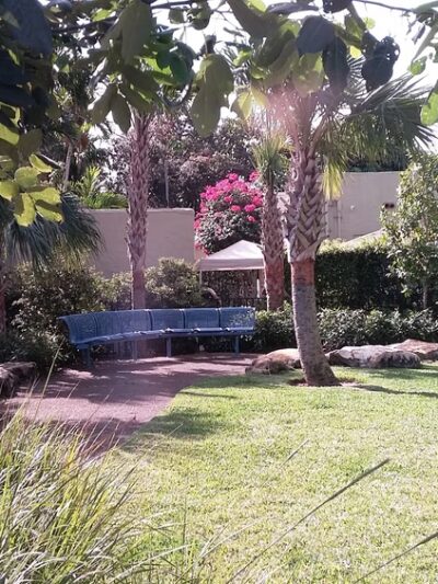 Lisbon Park - Coral Gables, FL