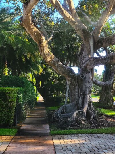 Majorca Park - Coral Gables, FL