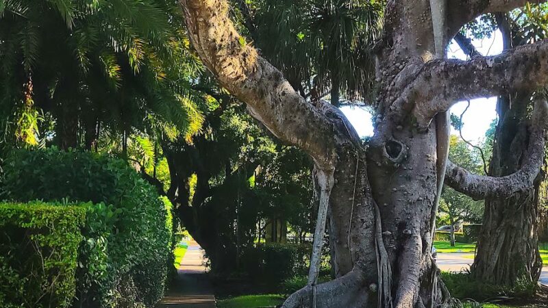 Majorca Park - Coral Gables, FL