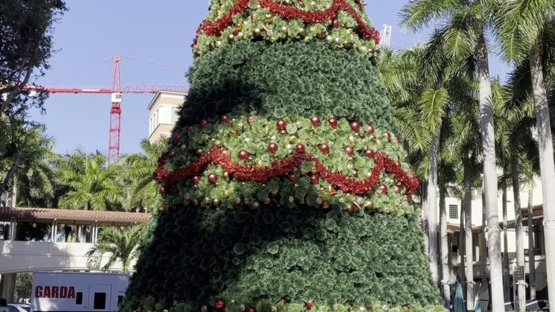 Merrick Park - Coral Gables, FL