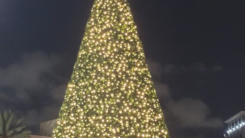 Merrick Park - Coral Gables, FL