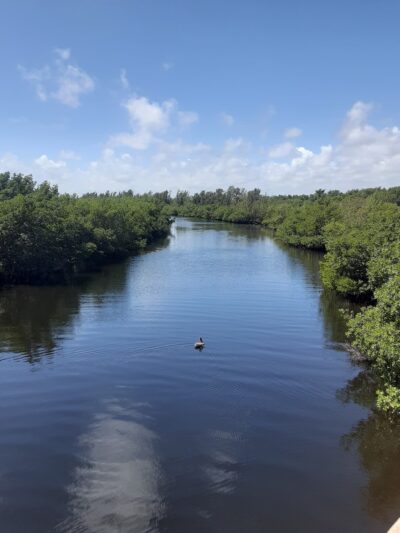 West Matheson Hammock Park - Coral Gables, FL