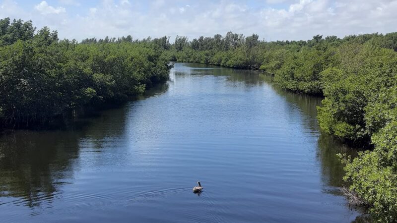 West Matheson Hammock Park - Coral Gables, FL