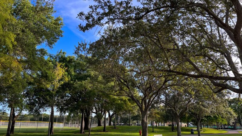 Cypress Park - Coral Springs, FL
