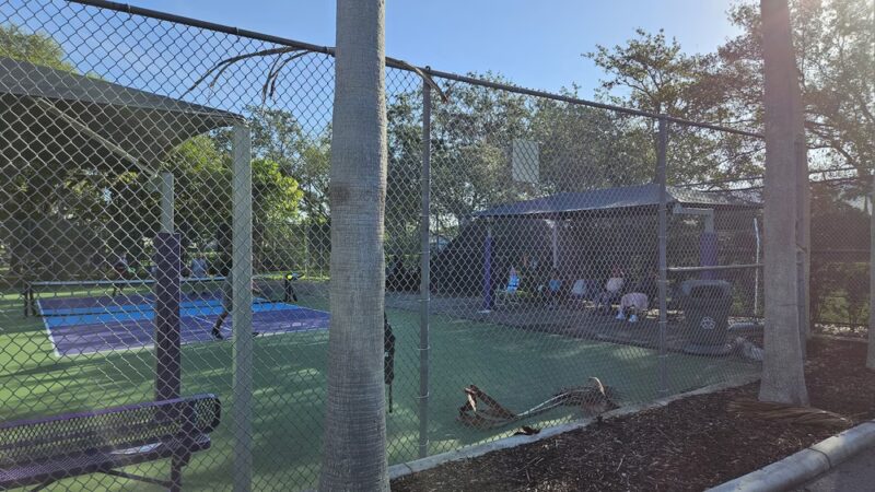 Cypress Park Pickleball Courts - Coral Springs, FL