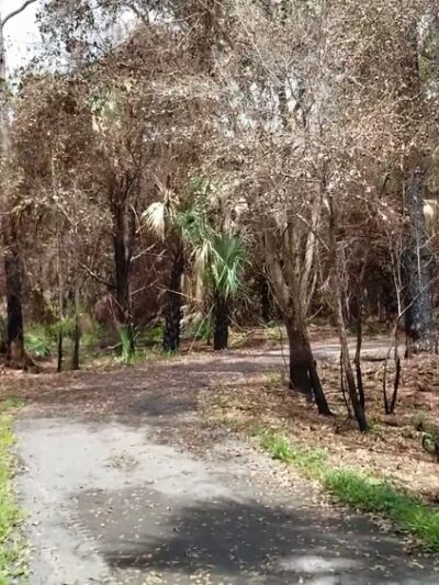 Sandy Ridge Sanctuary - Coral Springs, FL