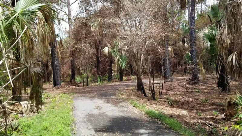Sandy Ridge Sanctuary - Coral Springs, FL