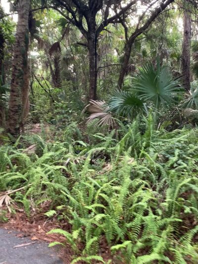 Sherwood Forest Park - Coral Springs, FL