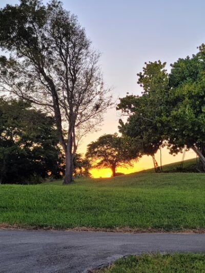 Three Friends Park - Coral Springs, FL