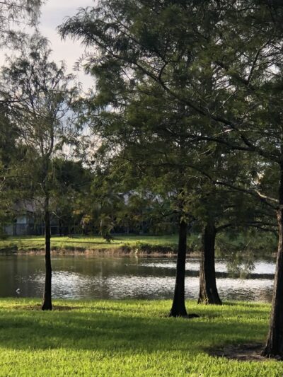 Windings Park - Coral Springs, FL