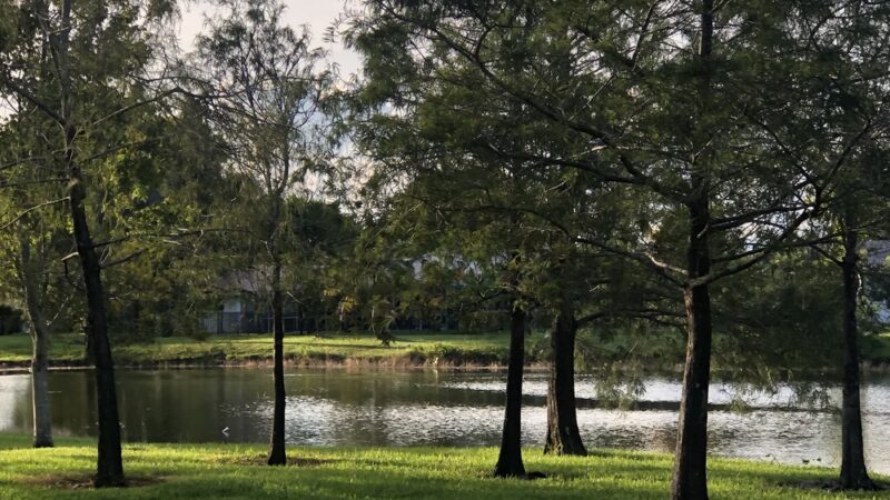 Windings Park - Coral Springs, FL