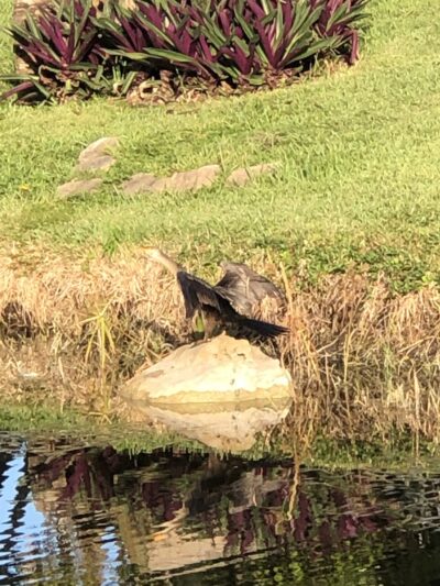 Windings Park - Coral Springs, FL