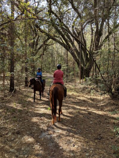 Jericho Horse Trail - Cordesville, SC