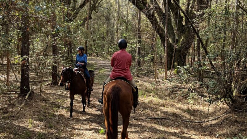 Jericho Horse Trail - Cordesville, SC