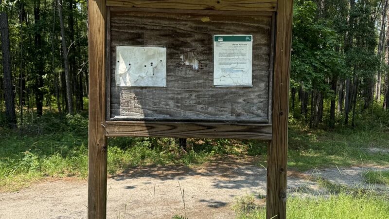 Jericho Horse Trail - Cordesville, SC