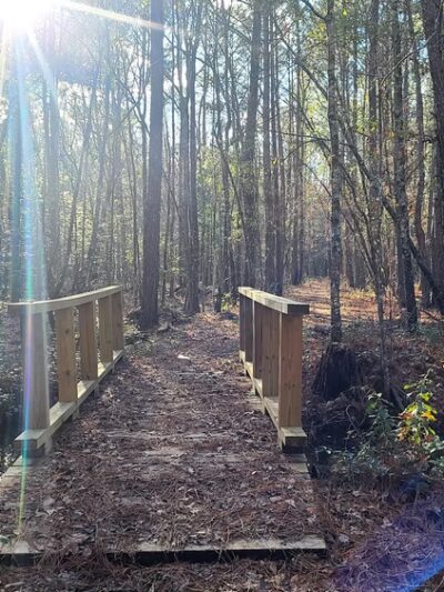 Jericho Horse Trail - Cordesville, SC