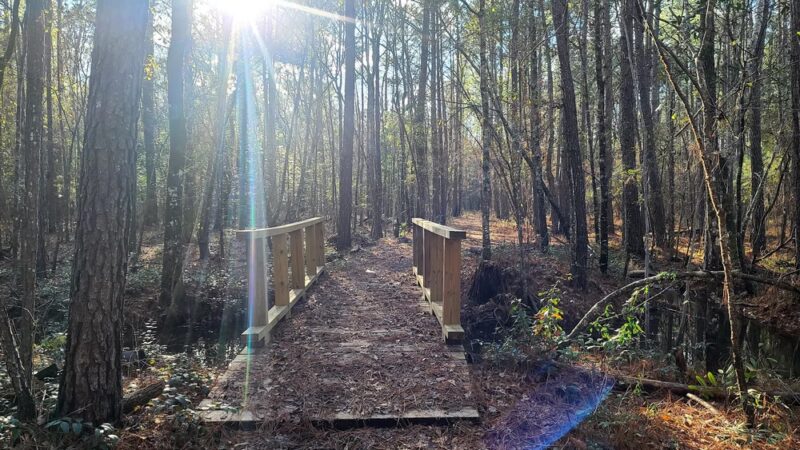 Jericho Horse Trail - Cordesville, SC