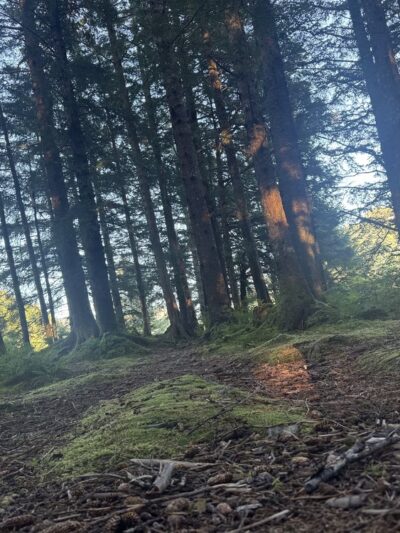 Nirvana Park - Cordova, AK