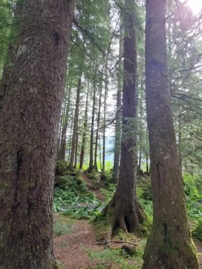 Nirvana Park - Cordova, AK