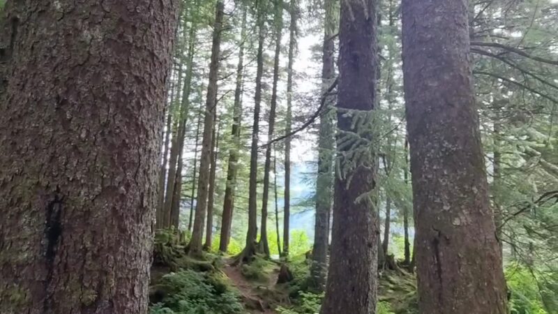 Nirvana Park - Cordova, AK