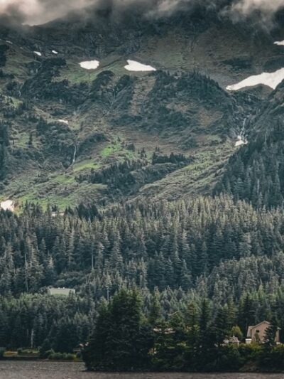 Nirvana Park - Cordova, AK
