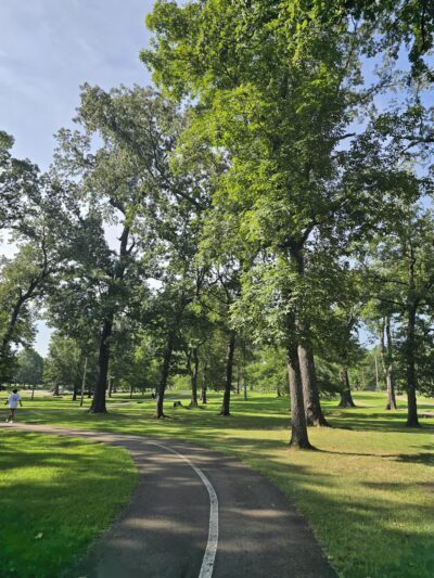 Corinth Alcorn County Parks & Recreation - Corinth, MS