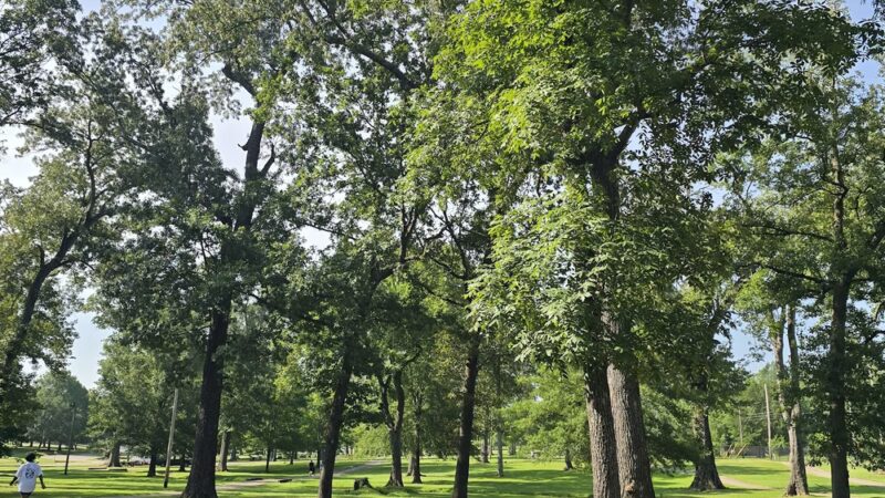 Corinth Alcorn County Parks & Recreation - Corinth, MS