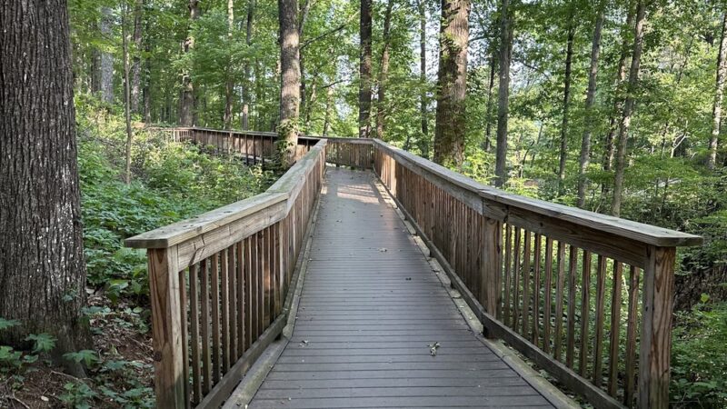 Cornelia City Park - Cornelia, GA