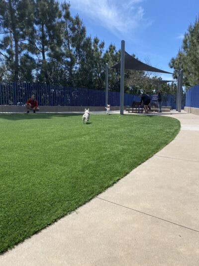 Newport Beach Dog Park - Corona Del Mar, CA