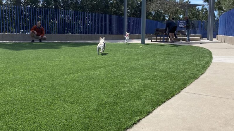 Newport Beach Dog Park - Corona Del Mar, CA