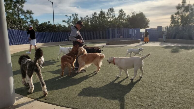 Newport Beach Dog Park - Corona Del Mar, CA