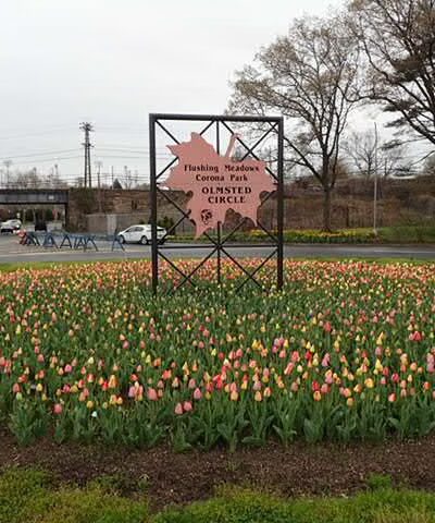 Calvert Circle - Corona, NY