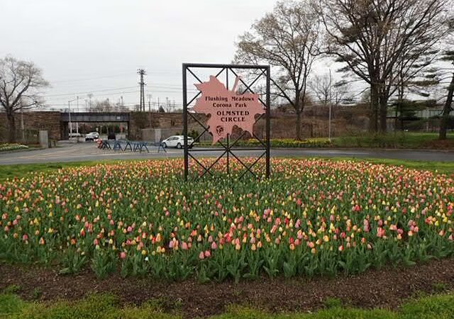 Calvert Circle - Corona, NY