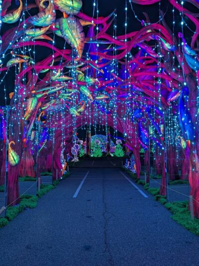 Lot E Citi Field Parking Lot - Corona, NY